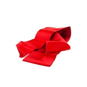 Silky Sash Restrains -Red :: compra online en tusexshopgay.com
