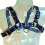 LEATHER BODY - ARNÉS CUERO AZUL Y NEGRO CHEST BULLDOG:: Discreción en tusexshopgay.com