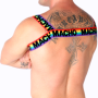 MACHO - ARNÉS DOBLE PRIDE LIMITED:: Discreción en tusexshopgay.com