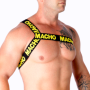 MACHO - ARNÉS ROMANO AMARILLO S/M:: Discreción en tusexshopgay.com