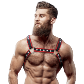 FETISH SUBMISSIVE ATTITUDE - ARNÉS BULLDOG ECOPIEL PECHO HOMBRE NEGRO/ROJO:: Discreción en tusexshopgay.com