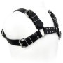 LEATHER BODY - BLACK BULL DOG HARNESS:: Discreción en tusexshopgay.com